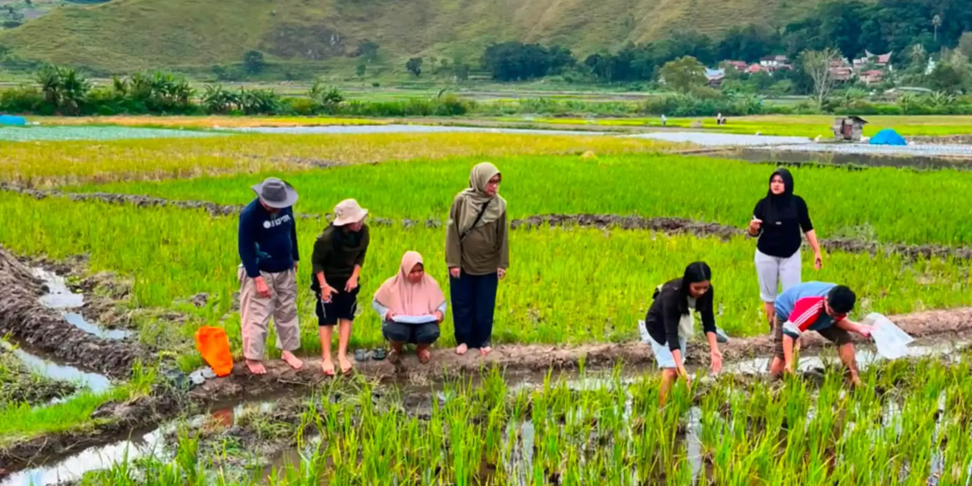 Fakultas Pertanian USU Perkuat Riset Nematoda Padi melalui Kolaborasi Nasional dan Internasional